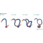 Modular Flexible Coolant Pipe/ Air Pipe With Nozzle for CNC Machine- 1/2, 1/4 and 3/8