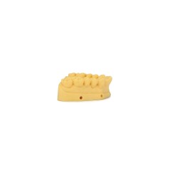 eSun DENTAL MODEL / MOLD resin for LCD/DLP 3D Printing Yellow,1kg