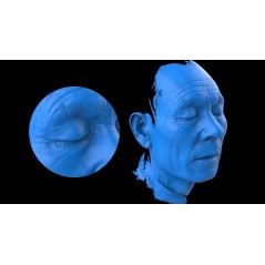 EinScan Pro HD